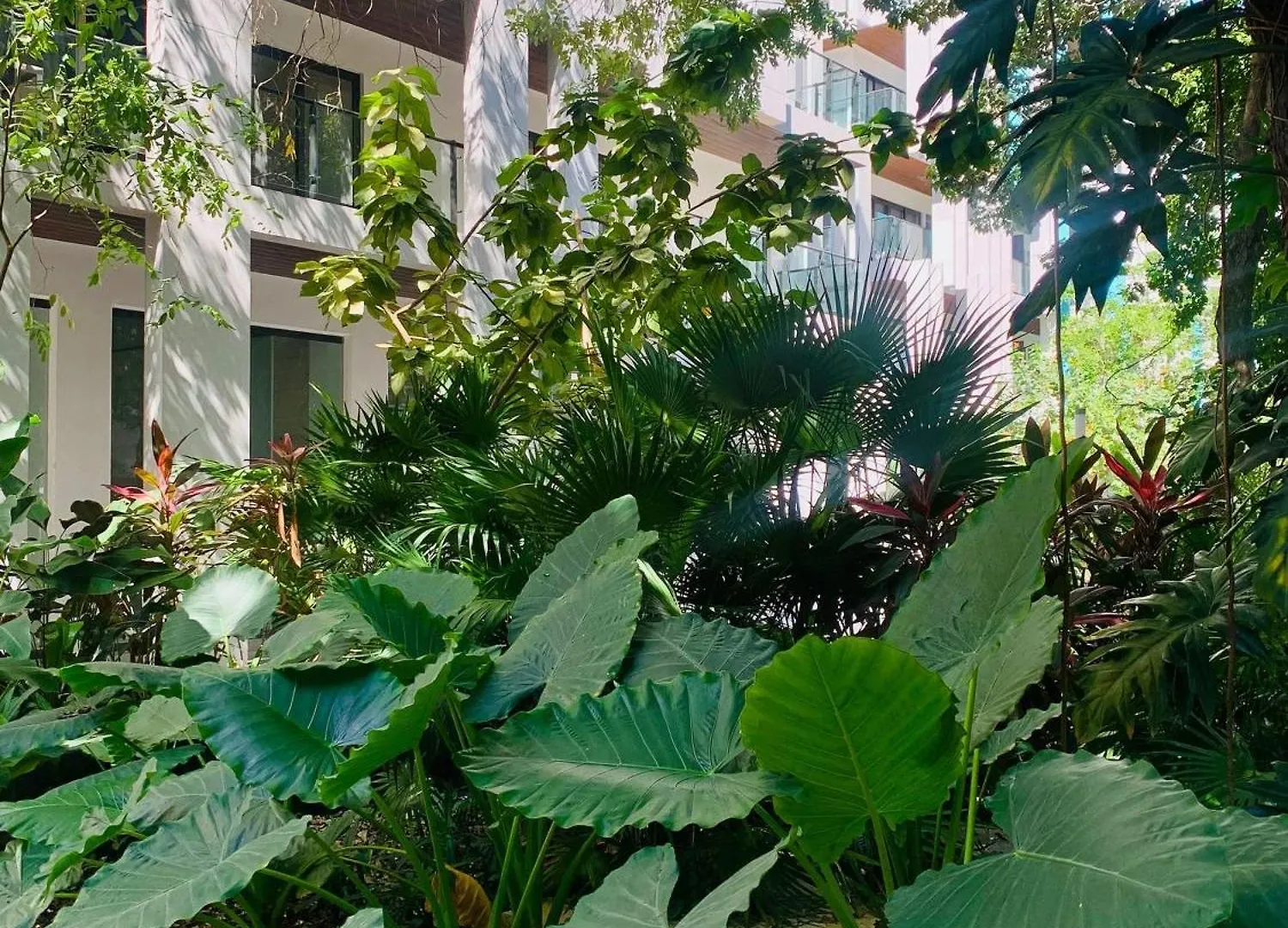 Ipana 2 Bedrooms 3 Blocks From The Sea. Playa del Carmen Mexico