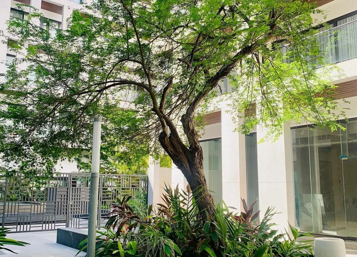 Ipana 2 Bedrooms 3 Blocks From The Sea. Playa del Carmen Holiday home