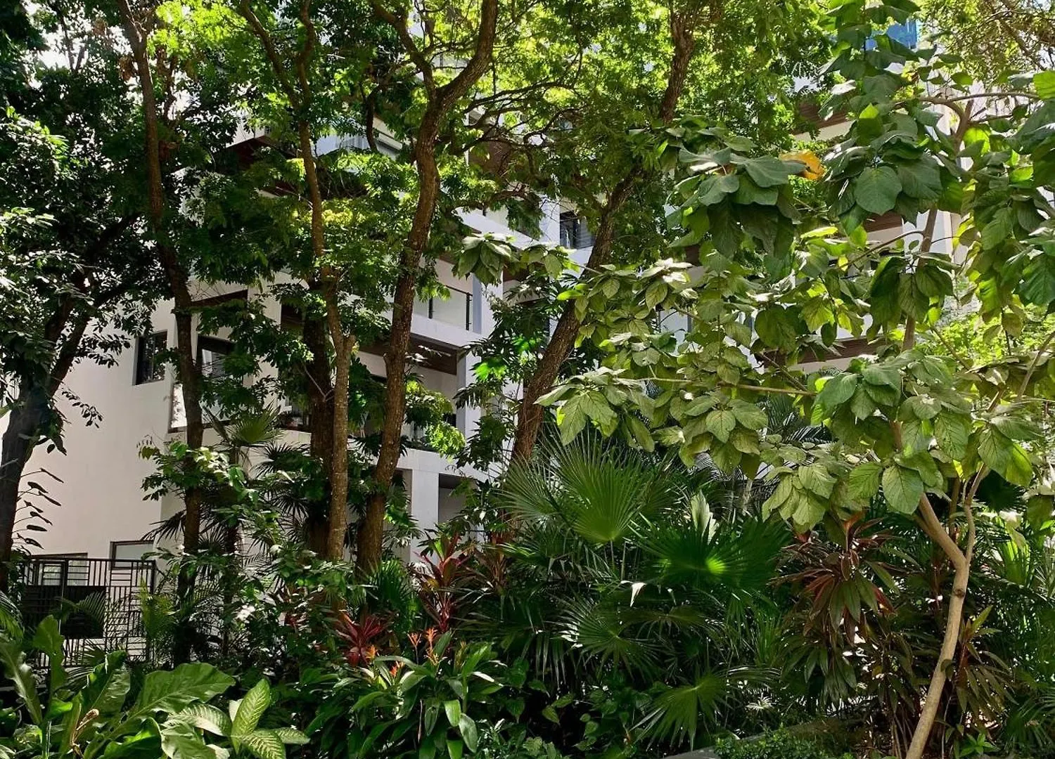 Ipana 2 Bedrooms 3 Blocks From The Sea. Playa del Carmen 0*,
